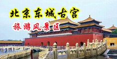 插亚洲美女阴道乄×××中国北京-东城古宫旅游风景区